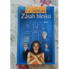 V. C. Andrews - Zásah blesku