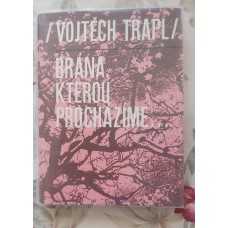 Vojtěch Trapl - Brána, kterou procházíme ... 